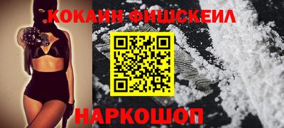 Альфа ПВП Гатчина