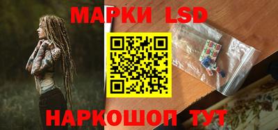 Альфа ПВП Гатчина