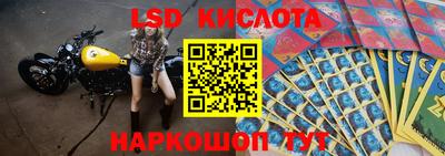 Альфа ПВП Гатчина