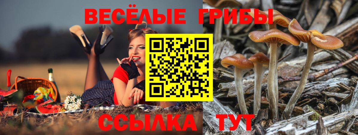 Псилоцибиновые грибы мухоморы Острогожск